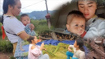 mus yuav qaib los hu wb tu me tub xublibvan plig os