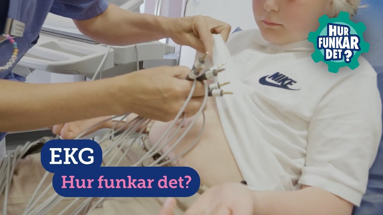 EKG (barn)