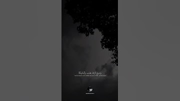 { هُوَ ٱلَّذِي يُرِيكُمُ ٱلۡبَرۡقَ خَوۡفٗا وَطَمَعٗا } بصوت القارئ عبد الرحمن مسعد || سورة الرعد
