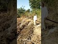 Best Solar water pump discharge|water pump||Solar water pump working||7.5hp solar pump ||