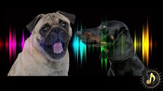 Dogs Barking Sound Effect Sounds Dogs Love