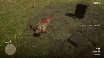 Red Dead Redemption 2 - Two Guys Trying To Break A Stolen Safe