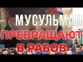 Мусульман превращают в рабов. Новые доказательства геноцида уйгуров и казахов в Китае