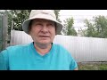Очередной день. Немного природы.