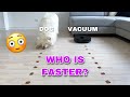 Will My Dog Fight Robot Vacuum When It Comes To Food? I Viomi Alpha (S9)