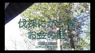 林業家が伐採道具と費用について解説します | 山作LLC合同会社　林業／伐採