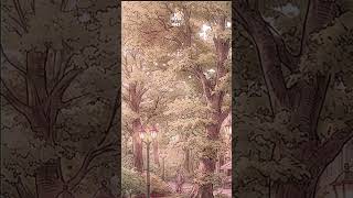 Study &amp; Work lofi Cafe Music Playlist ☕ 4H Cozy Lofi Deep Focus No Vocals #shorts #7