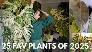 25 Favourite Plants Of 2025 | Plant With Roos