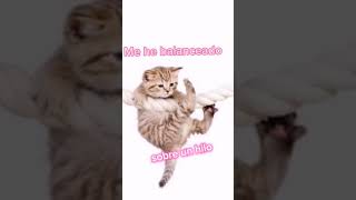 Yo He Peleado Con Cocodrilos