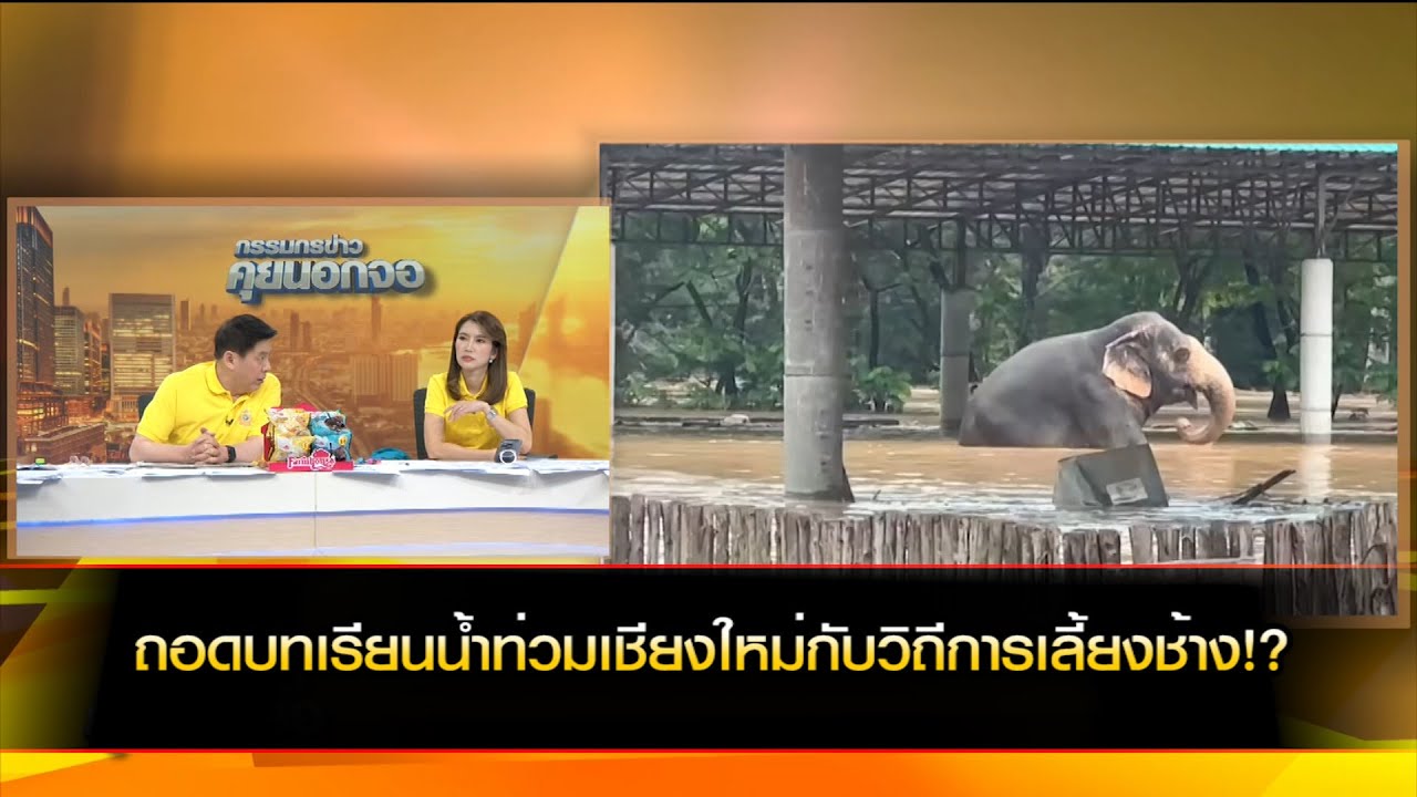 ถอดบทเรียนน้ำท่วมเชียงใหม่กับวิถีการเลี้ยงช้าง!?