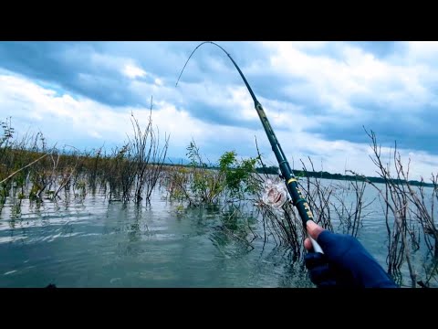 MANCING MANIA - KERANDANG AIR HITAM (24/9/16) 3-2