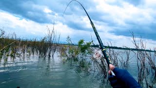 Download Lagu SITIK SITIK IWAK GEMUK GEMUK CUMA 1 TITIK ❗WGM MP3