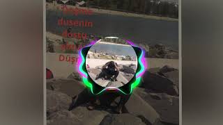 Düşme Düşenin Dostu Olmaz Duşme Şir