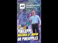 Pineapples or Pineapples- Hastings St. Noosa - AX Compensation Lawyers