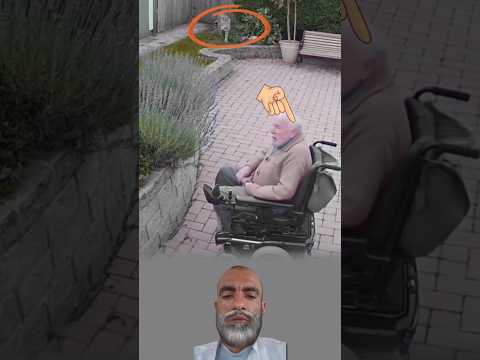 كلب يقف بإنسانية من يرى الألم ولا يسمح له أن يمر