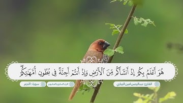 سورة النجم بصوت القارئ عبدالرحمن امين الجباري