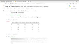 Explore Decision Tree : Task 4 Net Worth