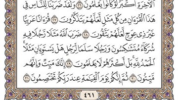 سورة الزمر مكتوبة / محمد أيوب