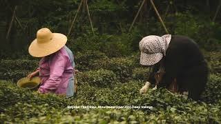 Explore Central China 🇨🇳 | Hidden Landscapes, Ancient Culture & Authentic Experiences