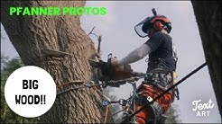 JL's Tree Service - Promo video