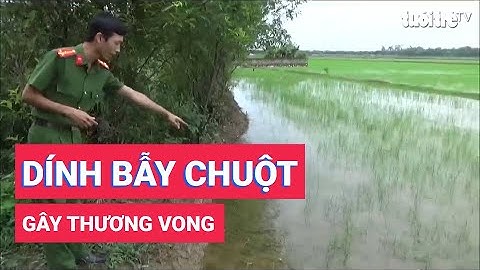 Thanh Hóa: Vướng vào dây điện bẫy chuột, 2 anh em thương vong