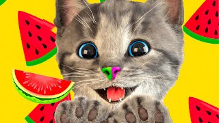 Новое Приключение Маленького Котенка - Мультяшная Кошка И Мультипликационный Котенок Отправляются