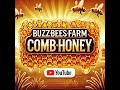 Honeycomb | #combhoney #honeybees #buzzbeesfarm #honey #beekeeping #beekeeper #wiral #insects #bees