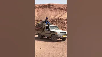 تويوتا شاص تهريب ليبيا 