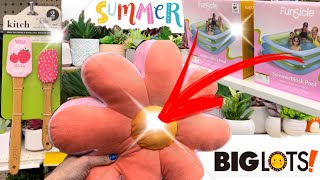 BIG LOTS *NEW FINDS for SUMMER 😎⛱️