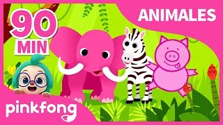 Canciones De Animales Para Niños Animales Pinkfong Canciones Infantiles