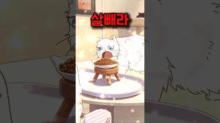 다이어트 시작한 고양이의 최후