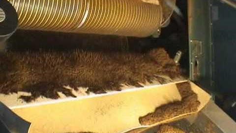 Stalk Extractor for CTC Teas