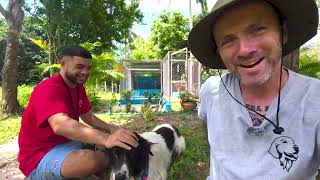 Huge update on 10 special rescue dogs #dogs #dogrescue #viralvideo #niallharbison