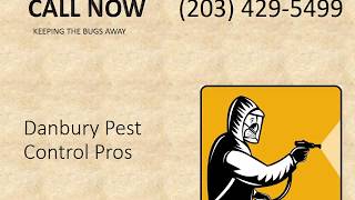 Danbury Bed Bug Exterminator - Bedbugs Removal Service in Danbury