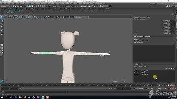 hide geometry of rig
