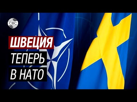 Зачем НАТО нужна Швеция?