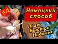 КАК ПОДВЯЗАТЬ ПОМИДОРЫ И ОГУРЦЫ! Новый способ!