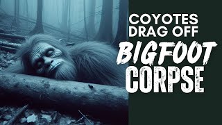 Coyotes Drag Off BIGFOOT Corpse | Over 1 Hour BIGFOOT ENCOUNTERS PODCAST