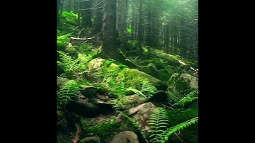 Take a break from scrolling ❤️ #edit #nature #scenery #beautiful #christianity