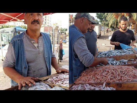 خيرات من سمك السردين و الكروفيت عند عمي موح ب بوهارون بالجزائر فرجة ممتعة