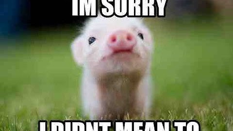 My Formal Apology to I Will Make You [QQ] GW2 WvW.