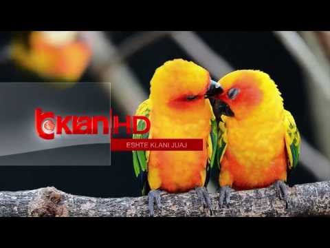 KLAN SOT -