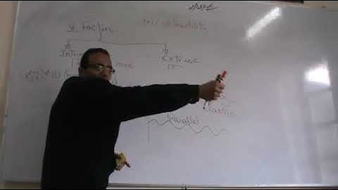 CVS Cardiac properties part 5 Dr Mohamed Fayez