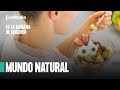 Mundo Natural: El cuidado de la flora intestinal