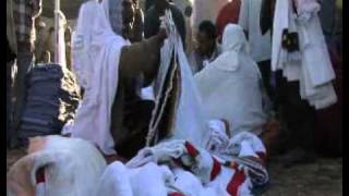 Geneinus Earth Ethiopian cotton