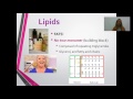 Biochemistry Basics Quiz