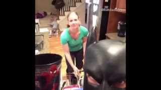 BatDad  JEN! COMPILATION