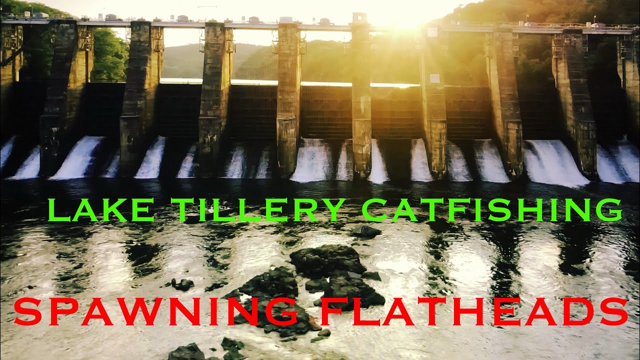 LAKE TILLERY CATFISHING/ SPAWN YouTube