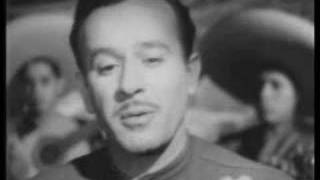 Video thumbnail of "Pedro Infante- Amor de mis Amores"