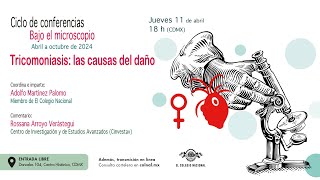 Tricomoniasis: las causas del daño | Ciclo Bajo el microscopio